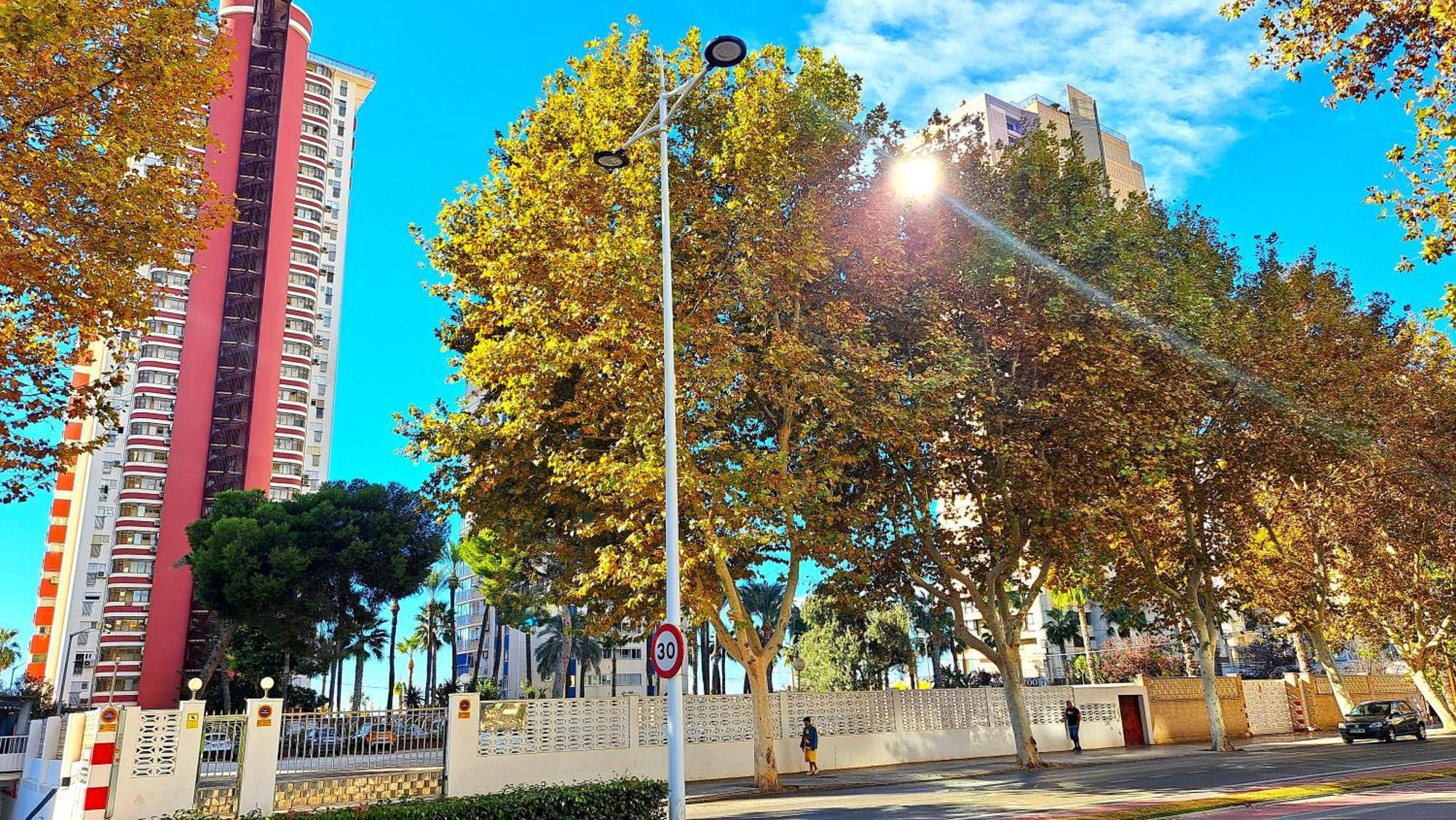 Las Damas - 23 B, Primera Linea, Playa Levante Benidorm Exterior foto